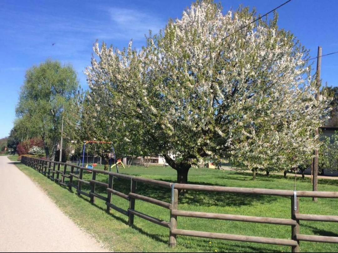 Azienda Agrituristica Scotti Somma Lombardo Bagian luar foto