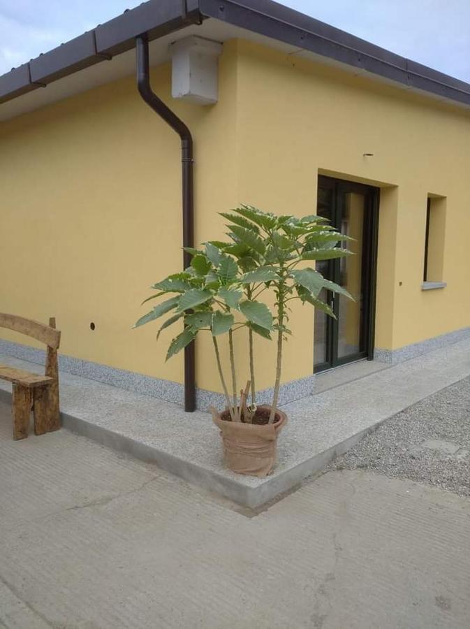 Azienda Agrituristica Scotti Somma Lombardo Bagian luar foto