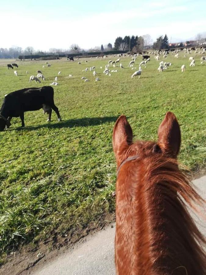 Azienda Agrituristica Scotti Somma Lombardo Bagian luar foto